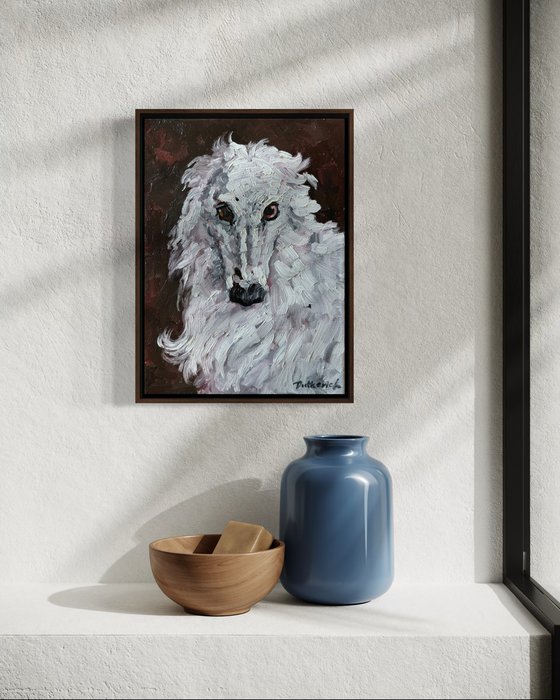 White greyhound