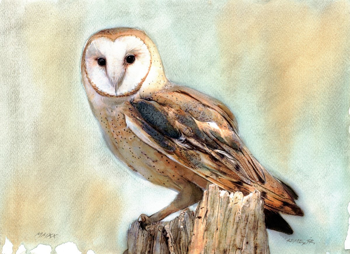 Photorealistic Animal Watercolour By Reme Jr., 14 X 10", Owl - Bird Cix, Original Artwork