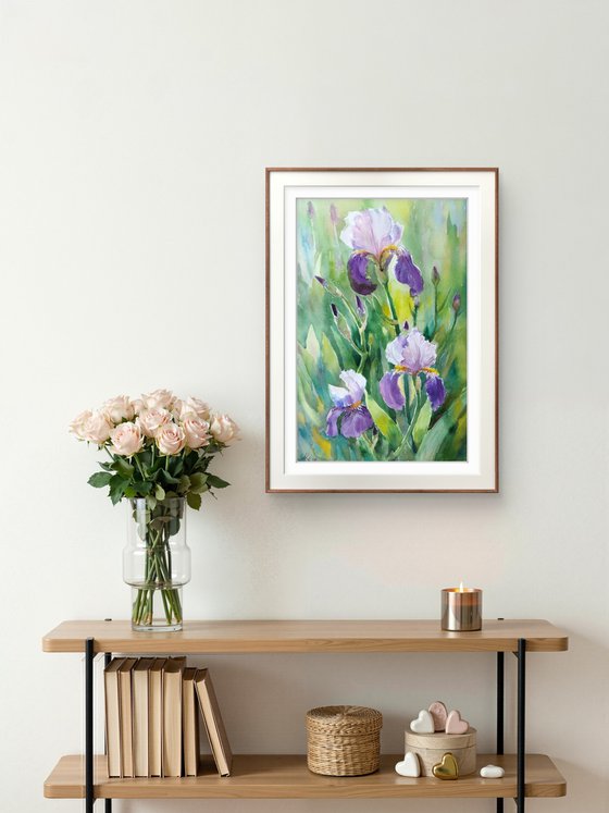 Grace of iris