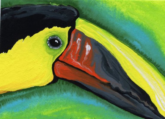 ACEO ATC Original Miniature Painting Toucan Parrot Bird Art-Carla Smale