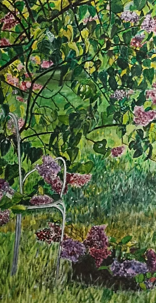 Lilac garden by Isabelle Lucas