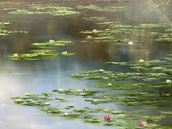 Lilies on the Water's Mirror