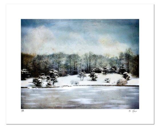 Perfect Winter
