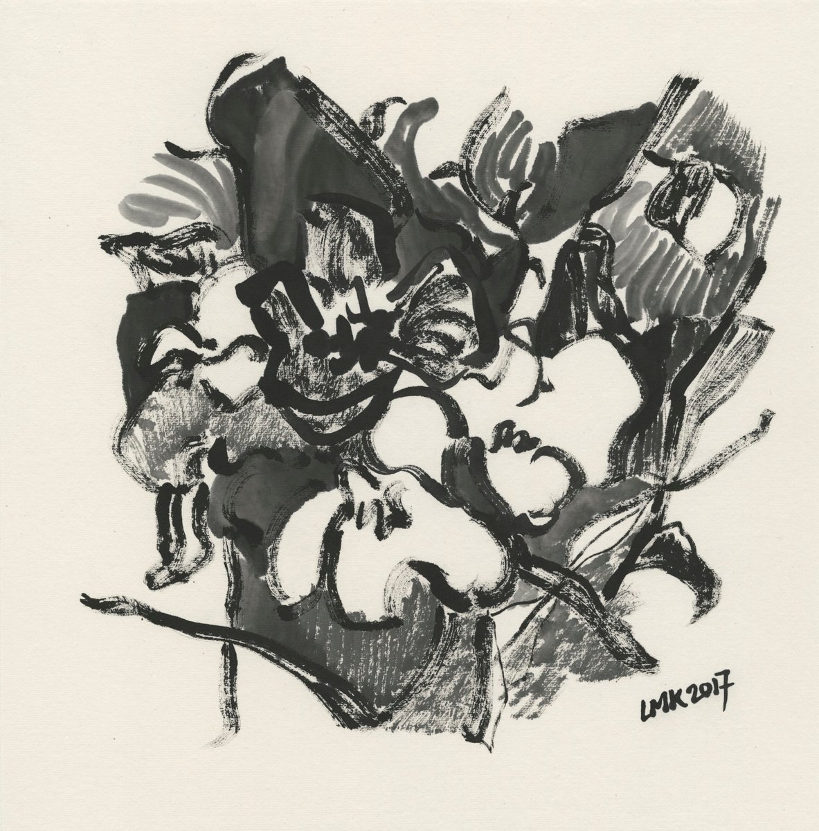 Organic Botanical Ink Drawing By Lee Man Ki Joyce, 14 X 14", The Shadow, Original Artwork