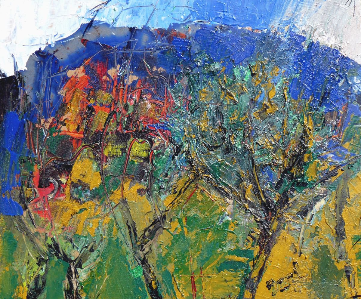 Sun on an orchard in Provence by Jacques Donneaud