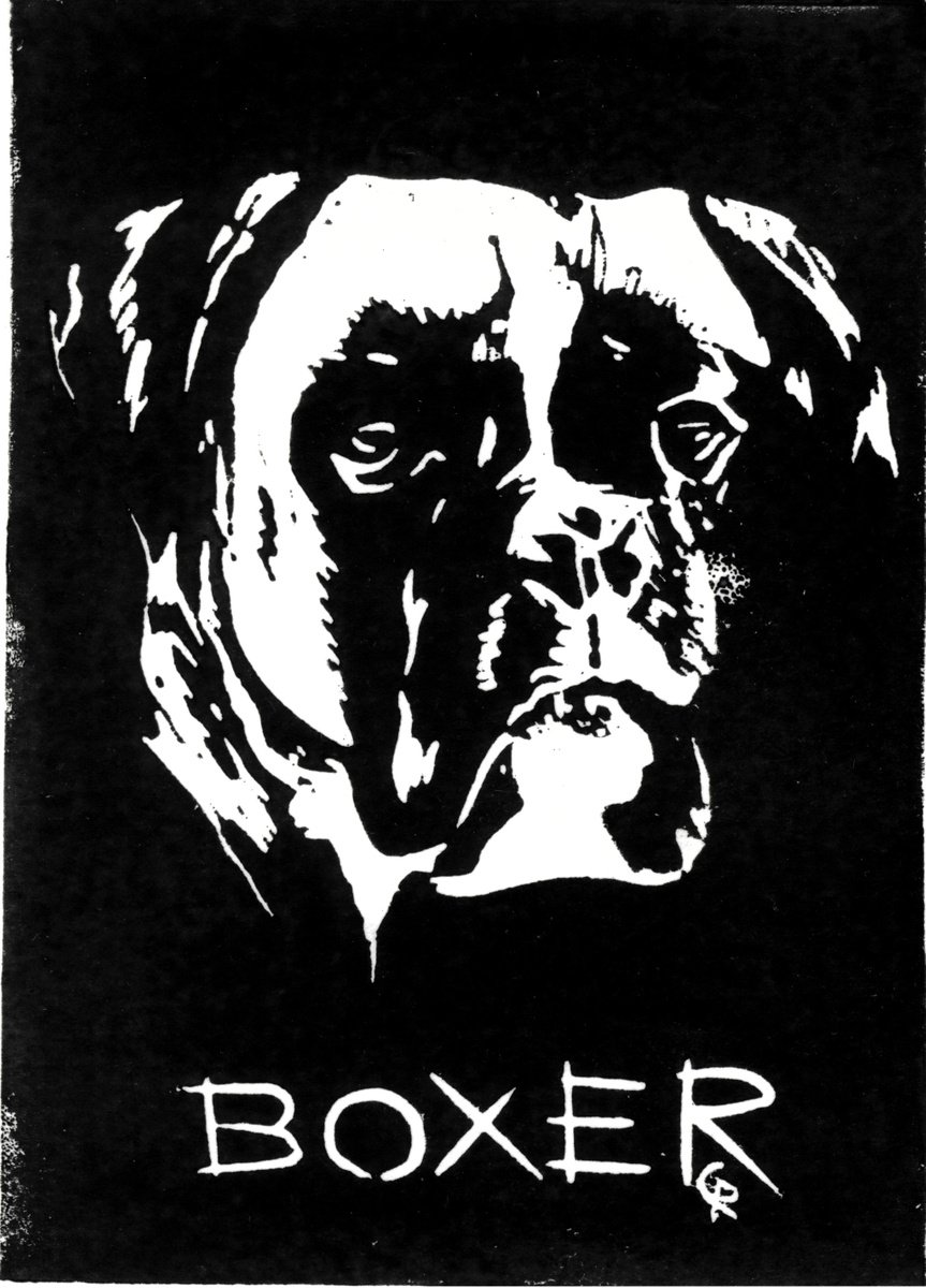 Dogs - Boxer by Reimaennchen - Christian Reimann