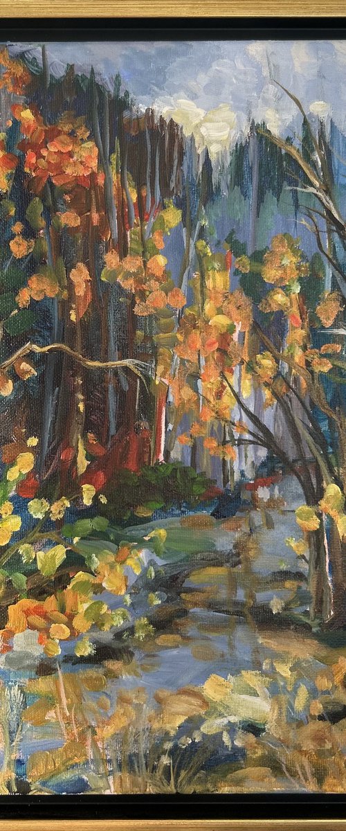 Mountain Fall Pathway by Annette Wolters