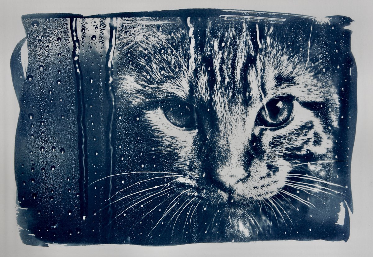 Rainy Day by Ruth Archer