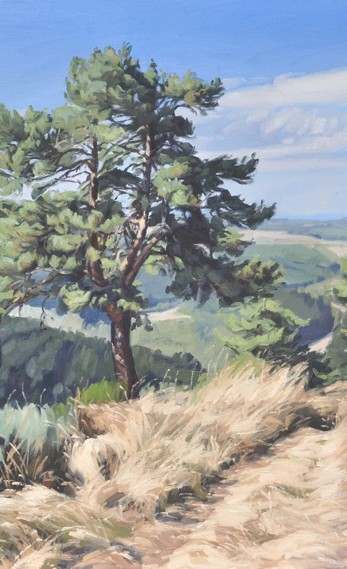 September 10, pine above the valley by ANNE BAUDEQUIN