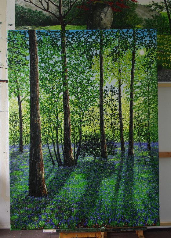 Springtime Shadows