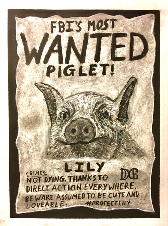 FBI's Most Wanted Piglet