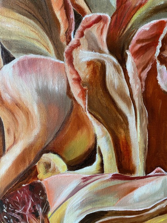 Baroque Rose