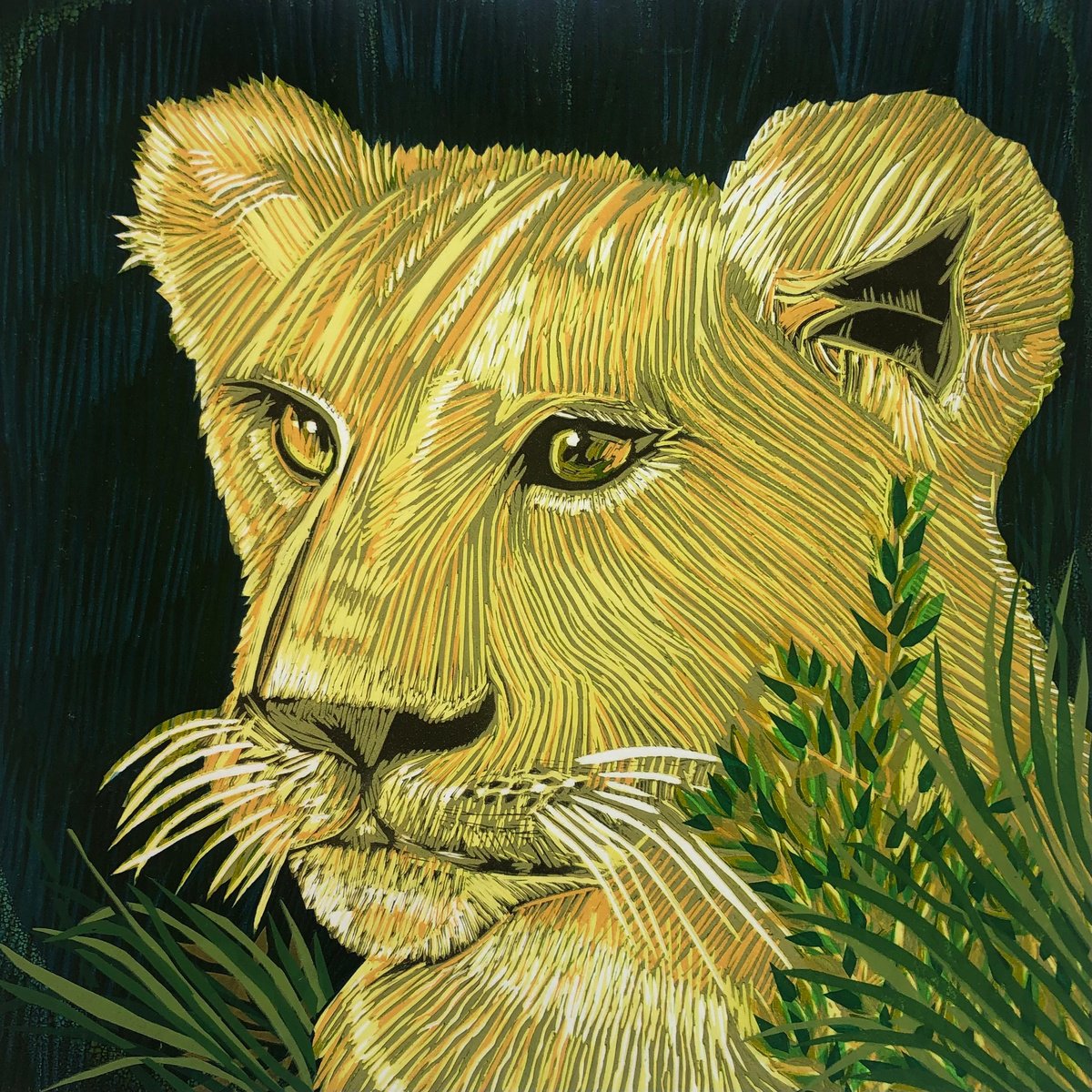 Illustrative Animal Print By Marian Carter, 15 X 15", Young Lion, Masai Mara, Original Artwork
