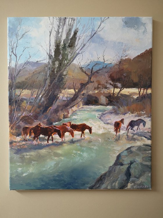 Horses at the Water's Edge