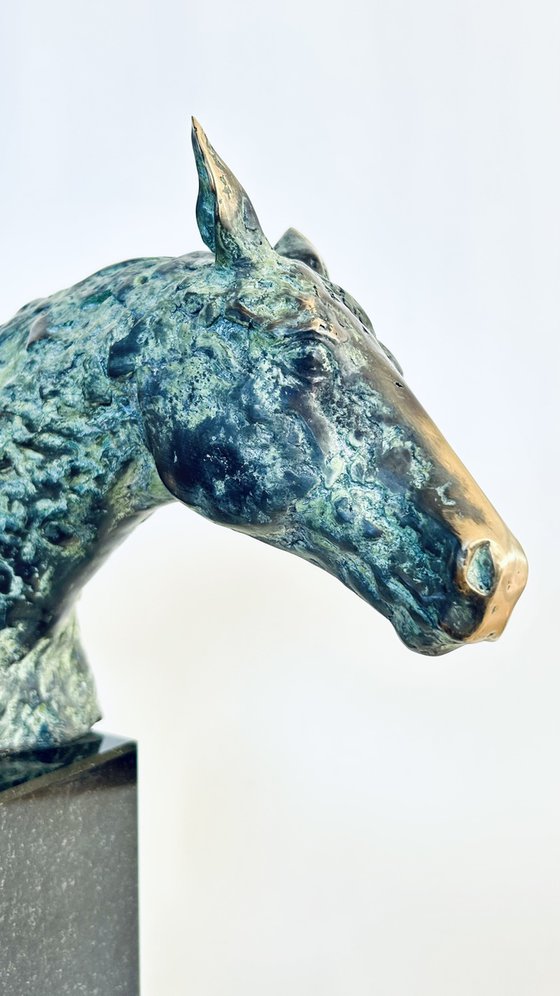 The Noble Hoof, no.V/VIII