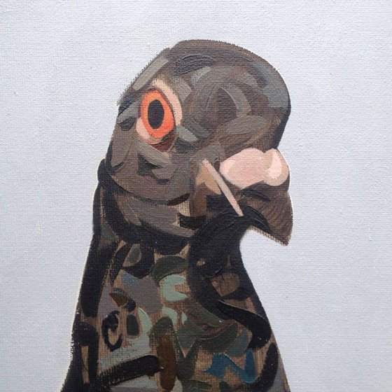 Pigeon portrait