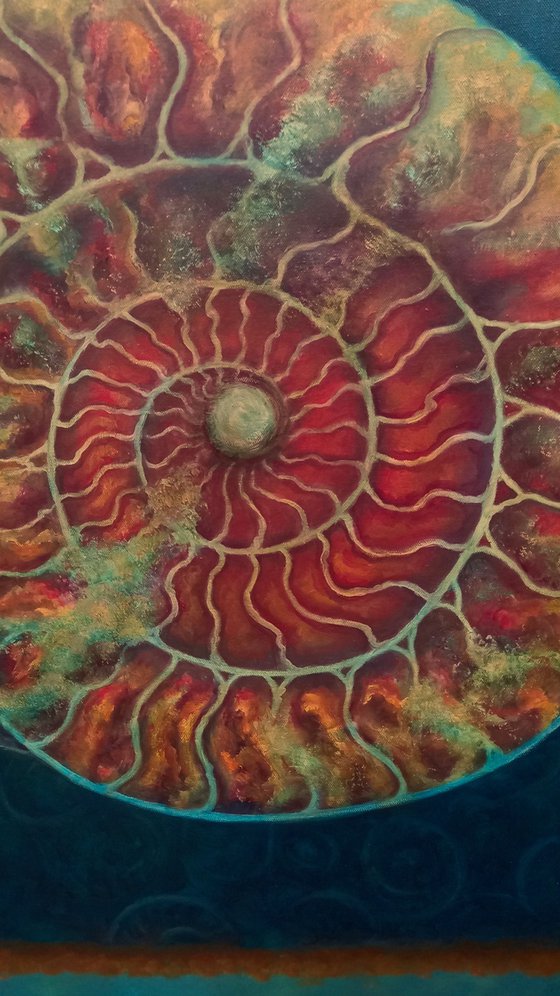 Ammonite Doreé et Verte