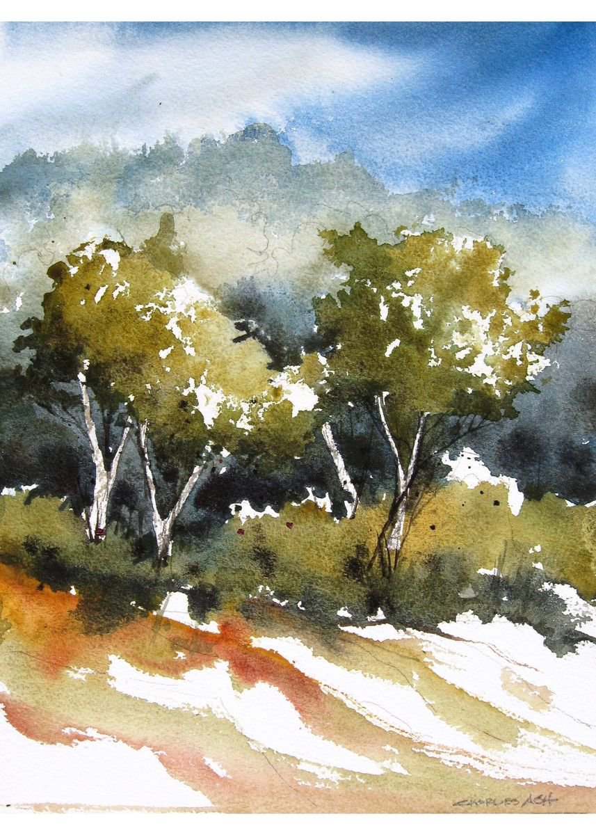 Little Aspen - Original Watercolor Painting by CHARLES ASH