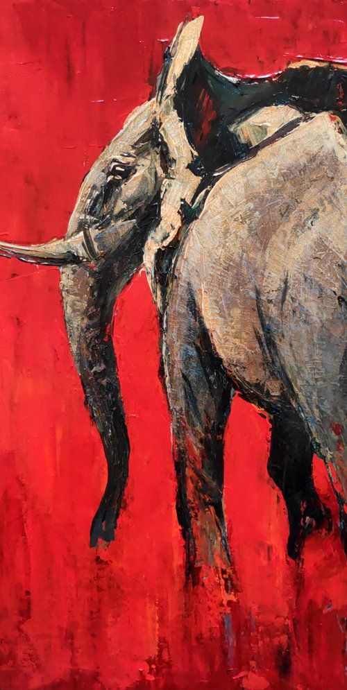 Africa by Movses Petrosyan