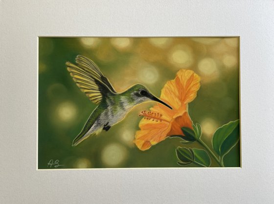 Hummingbird in Flight