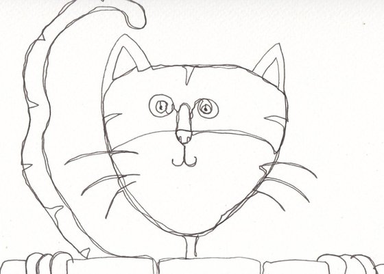 Nosey Cat cartoon