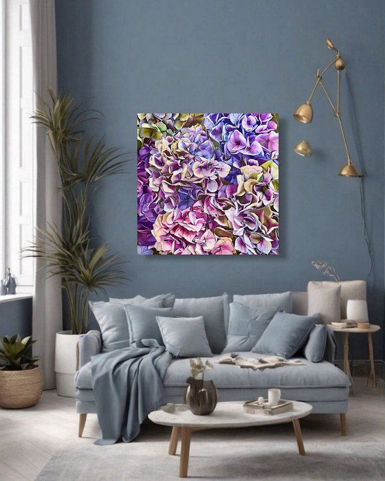 Awakening of the Hydrangea