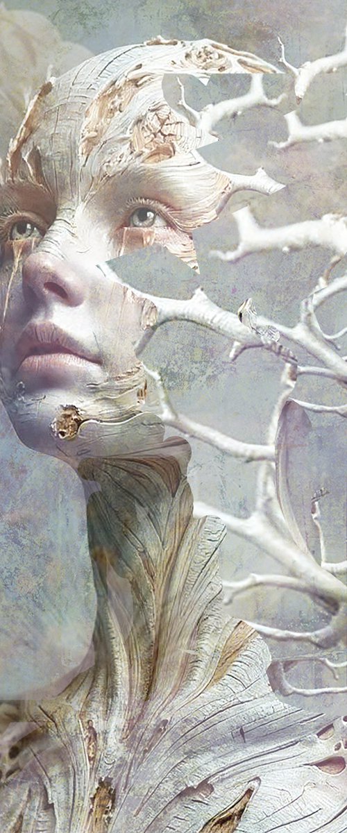 Where the Forest Remembers Her by Bojan Jevtić