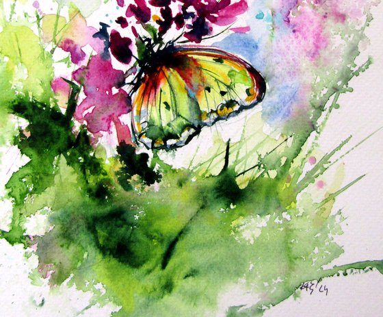 Butterfly collection