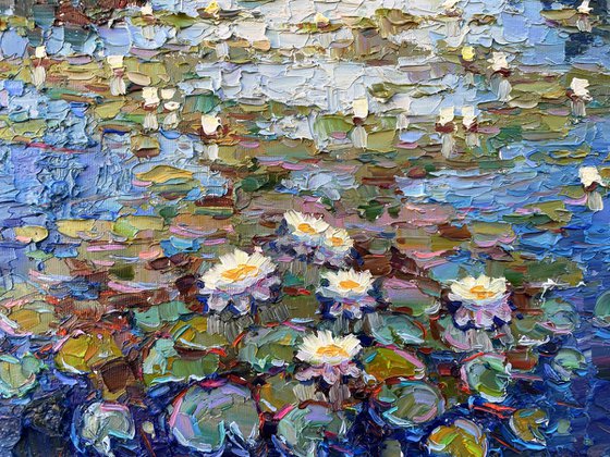 "water lilies"