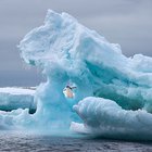 Iceberg