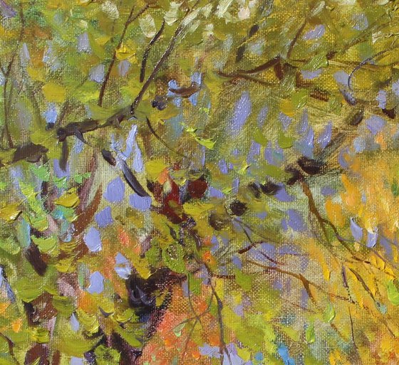 Autumn landscape