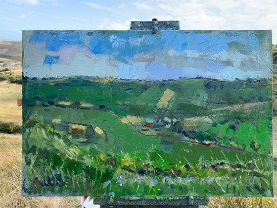 The Downs above Sompting