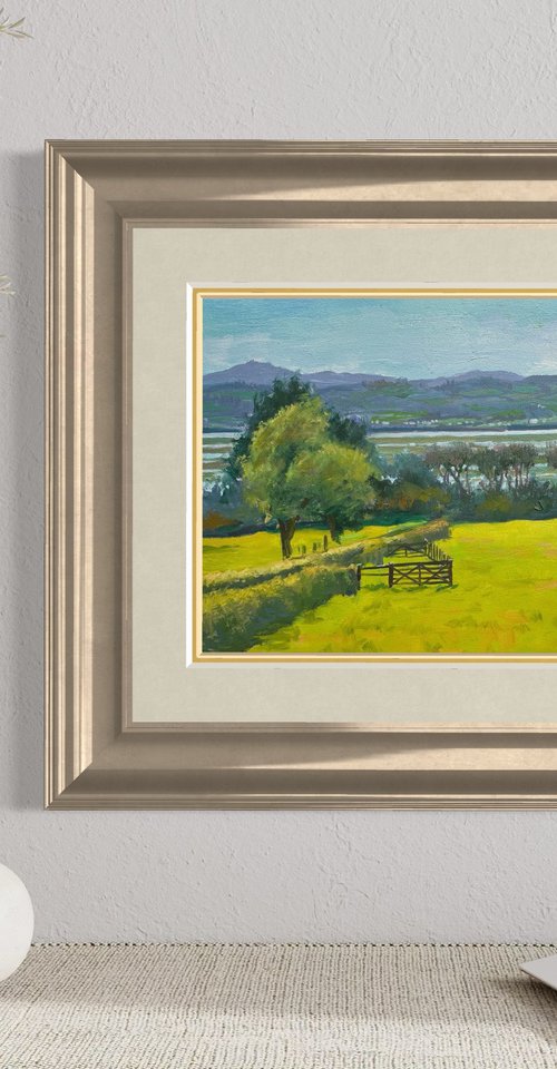 Dee Estuary by Toni Swiffen