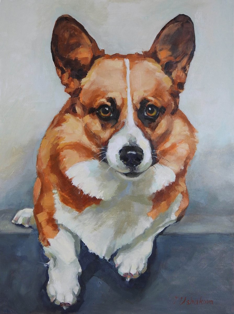 Corgi by Irina Ushakova