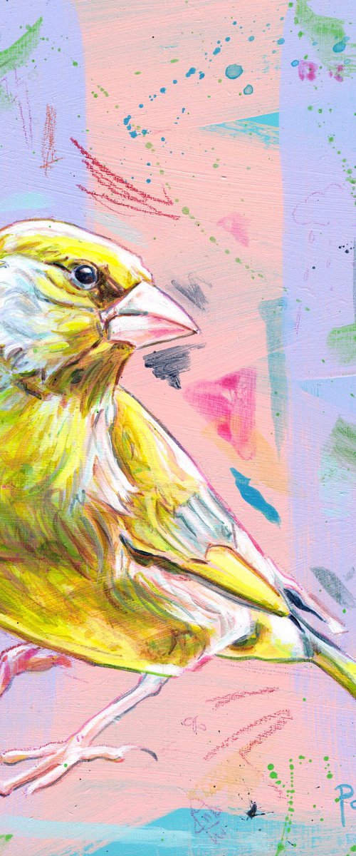 Greenfinch by Paul Ward