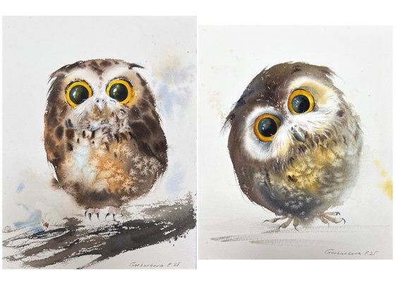 Owls (Diptych)
