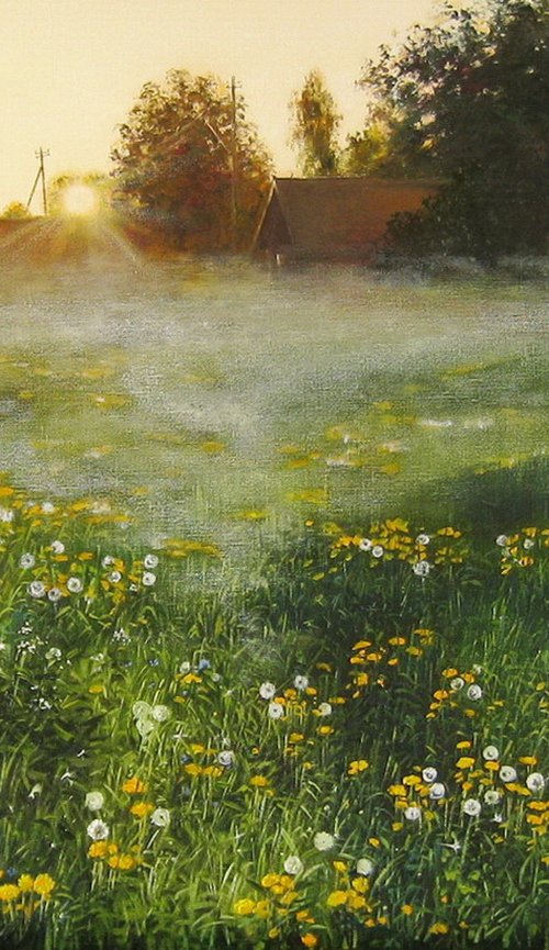 Morning Mist Over Meadow by Natalia Shaykina