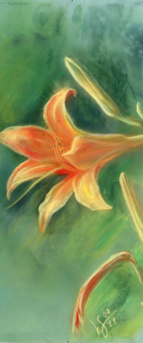 Orange lily on a green background. Pastel painting on cardboard. by SVITLANA LAGUTINA