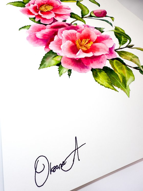 Camellia Branch