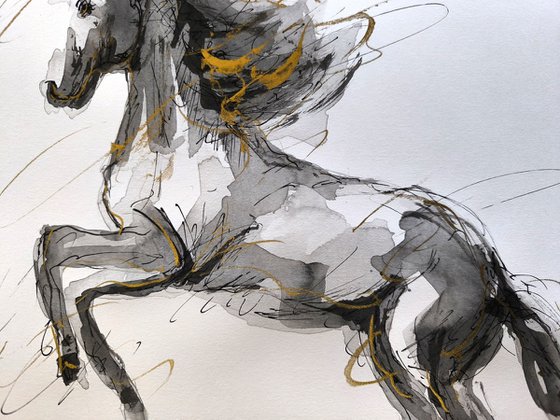 Equine Poetry Series