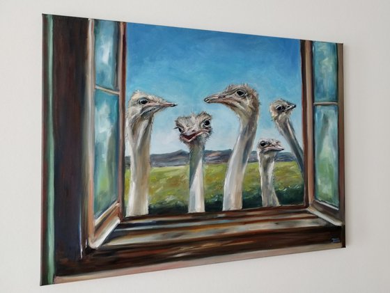 Ostriches At The Window