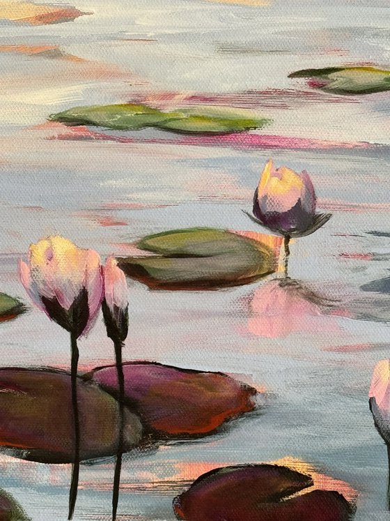 Water Lilies Land 1