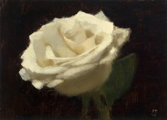 White rose