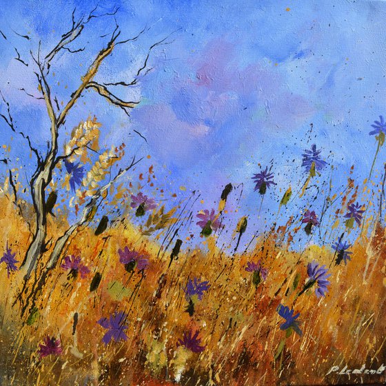 A few cornflowers