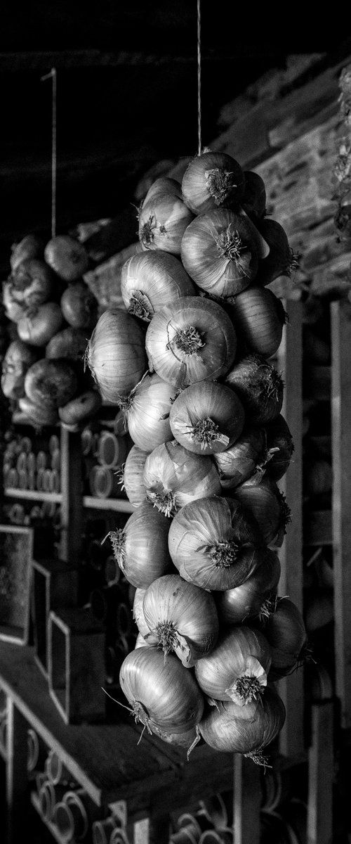 String of Onions by Stephen Hodgetts Photography