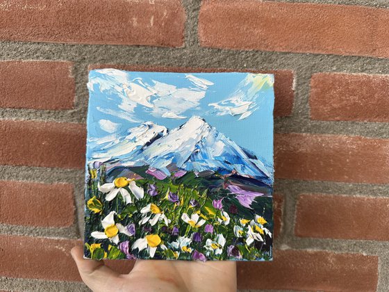 Daisies in the mountains