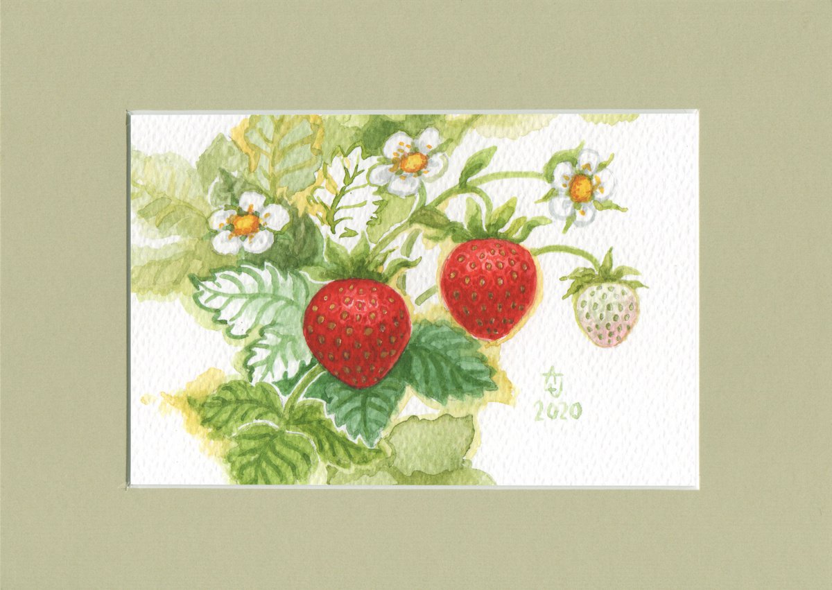 Spring is coming - Blooming strawberries by Jolanta Czarnecka