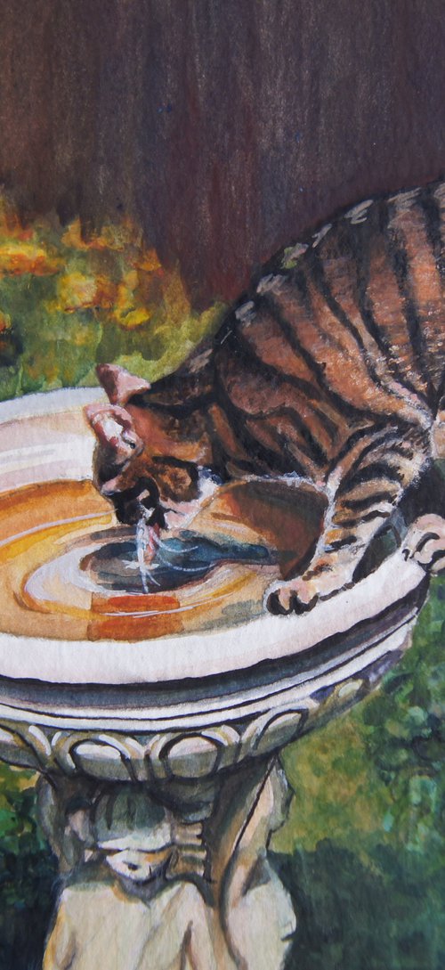 Cat drinking by Karen Wilcox
