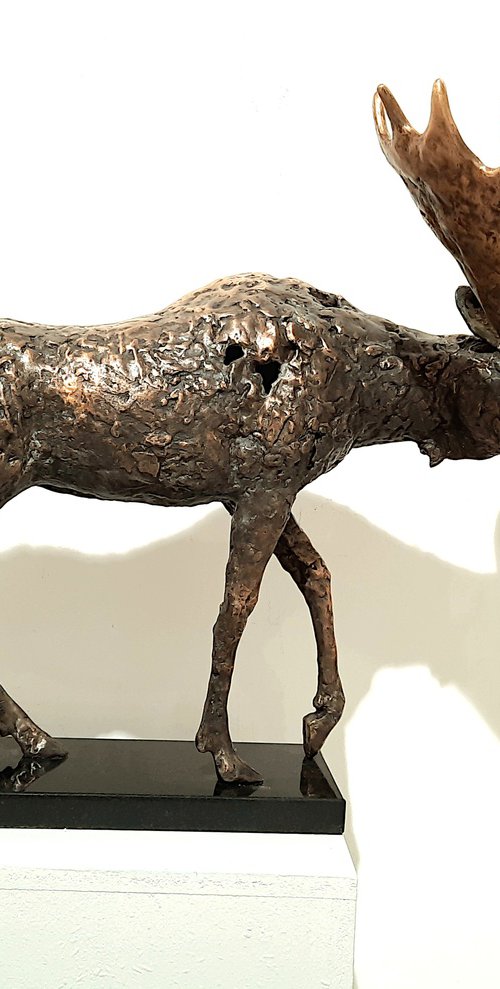 Amazing Moose , no I/VIII( Large size) by Joanna Cholewa
