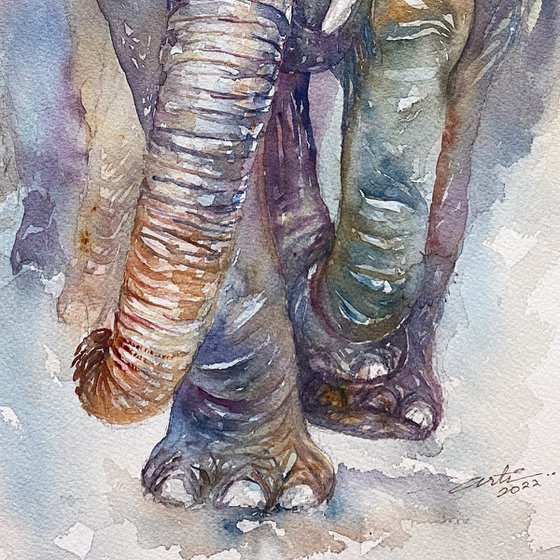 King Kobe_Elephant